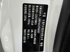 Haval M6 PLUS 1.5T DCT Luxury Smart Connected Edition - ფოტო 20