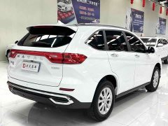 Haval M6 PLUS 1.5T DCT Luxury Smart Connected Edition - ფოტო 6