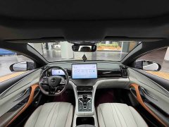 BYD Song Pro New Energy 2022 DM-i 110km Flagship Pro - ფოტო 15