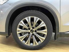 BYD Song Pro New Energy 2022 DM-i 110km Flagship Pro - ფოტო 4