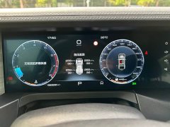 Tank 300 Off-Road Edition 2.0T Challenger - ფოტო 20