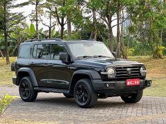 Tank 300 Off-Road Edition 2.0T Challenger - ფოტო 3