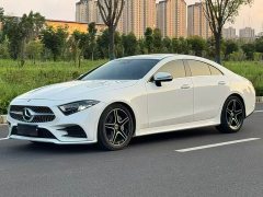 Mercedes-Benz CLS 300 Luxury - ფოტო 1
