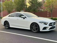 Mercedes-Benz CLS 300 Luxury - ფოტო 3