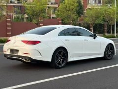 Mercedes-Benz CLS 300 Luxury - ფოტო 8