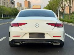 Mercedes-Benz CLS 300 Luxury - ფოტო 9