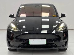 Tesla Model Y Standard Range RWD - ფოტო 2