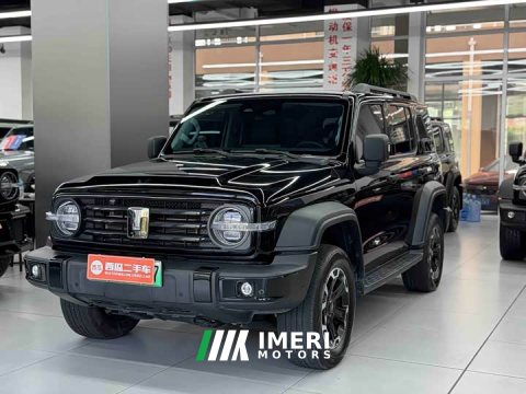 2025 Tank 300 New Energy Hi4-T 37.1kWh - ავტომობილი ჩინეთიდან