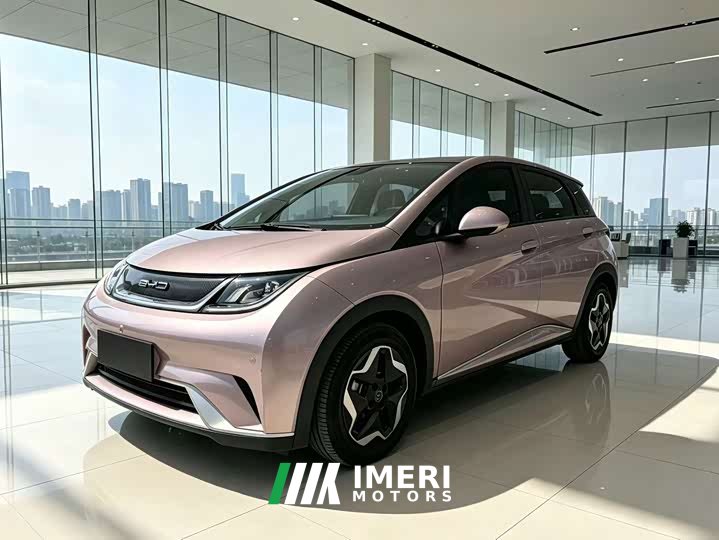 BYD Dolphin 405km Fashion Edition - ავტომობილი ჩინეთიდან