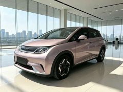 BYD Dolphin 405km Fashion Edition - ფოტო 1