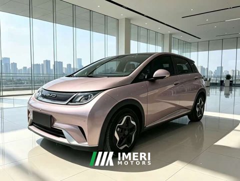 2022 BYD Dolphin 405km Fashion Edition - ავტომობილი ჩინეთიდან
