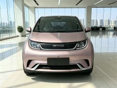BYD Dolphin 405km Fashion Edition - ფოტო 2