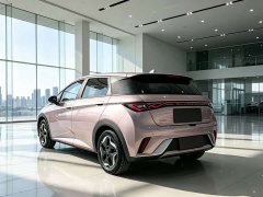 BYD Dolphin 405km Fashion Edition - ფოტო 4