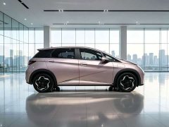 BYD Dolphin 405km Fashion Edition - ფოტო 7