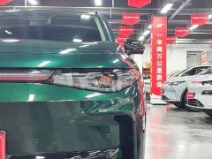 Leapmotor C10 530 Smart Comfort Edition - ფოტო 10