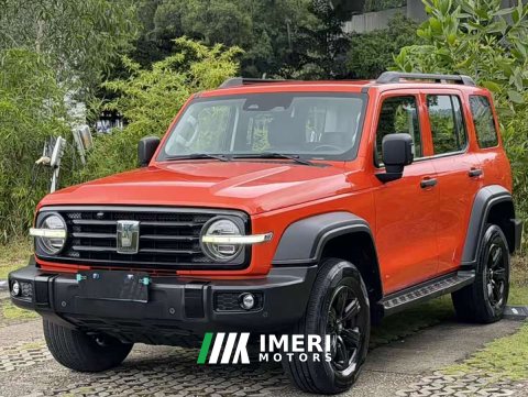 2021 Tank 300 Off-Road Edition 2.0T Conqueror - ავტომობილი ჩინეთიდან