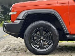 Tank 300 Off-Road Edition 2.0T Conqueror - ფოტო 10