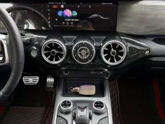 Tank 300 Off-Road Edition 2.0T Conqueror - ფოტო 7