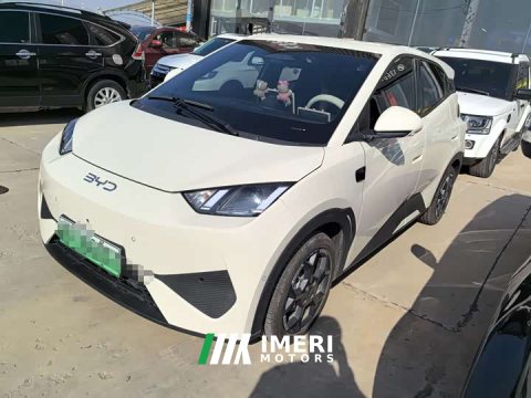 2026 BYD Seagull 2025 Smart Driving Edition 305km Freedom Edition - ავტომობილი ჩინეთიდან