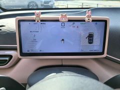 BYD Seagull 2025 Smart Driving Edition 305km Freedom Edition - ფოტო 10