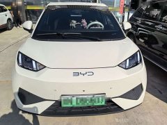 BYD Seagull 2025 Smart Driving Edition 305km Freedom Edition - ფოტო 2