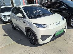 BYD Seagull 2025 Smart Driving Edition 305km Freedom Edition - ფოტო 3