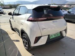 BYD Seagull 2025 Smart Driving Edition 305km Freedom Edition - ფოტო 4