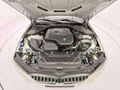 BMW 3 Series 320Li M Sport Package - ფოტო 8