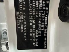 Toyota Wildland Hybrid 2.5L E-CVT FWD Luxury Plus - фото 10