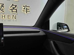 Tesla Model Y Rear-Wheel Drive - ფოტო 13