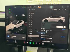 Tesla Model Y Rear-Wheel Drive - ფოტო 17