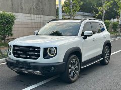 Great Wall Dachshund 2022 1.5T DCT Two-Wheel Drive Border Collie Edition - ფოტო 1