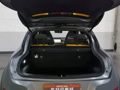 ORA Good Cat GT 2023 Mulan Edition 401km Prestige - ფოტო 16