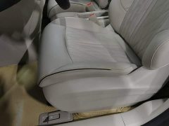Buick GL8 Land Executive Cabin 652T Luxury - ფოტო 20