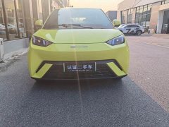 BYD Seagull Glory Edition 305km Freedom Version - ფოტო 2