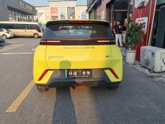 BYD Seagull Glory Edition 305km Freedom Version - ფოტო 8