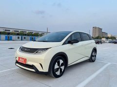 BYD Dolphin 420km Fashion Edition - ფოტო 1