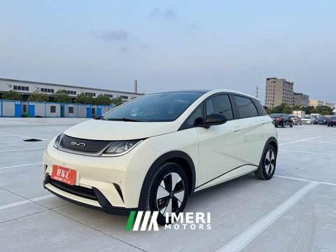 2023 BYD Dolphin 420km Fashion Edition