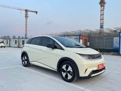 BYD Dolphin 420km Fashion Edition - ფოტო 3