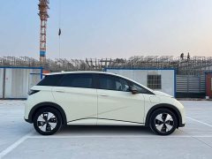 BYD Dolphin 420km Fashion Edition - ფოტო 4