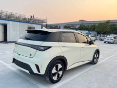BYD Dolphin 420km Fashion Edition - ფოტო 5