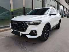 Haval H6 2023 National Trend Edition 1.5T Automatic Urban Version - ფოტო 1