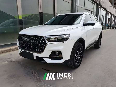 2024 Haval H6 2023 National Trend Edition 1.5T Automatic Urban Version - ავტომობილი ჩინეთიდან