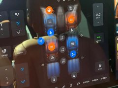 Li Auto L8 Pro - ფოტო 11