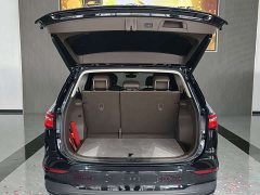 Volkswagen Viloran 2024 380TSI Zunchi Edition - ფოტო 9