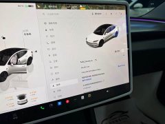 Tesla Model 3 2023 Rear-Wheel Drive - ფოტო 9