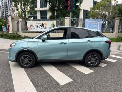Neta V Standard Range Industry Custom Edition - ფოტო 5