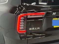 Great Wall Dachshund 2021 1.5T DCT Two-Wheel Drive Border Collie Edition - ფოტო 9