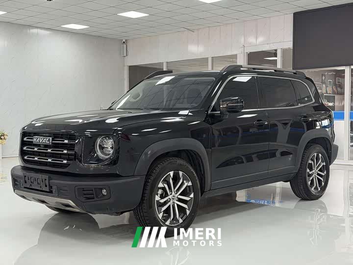 Great Wall Dachshund 1.5T DCT Two-Wheel Drive Border Collie Edition