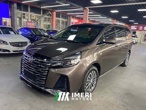 2024 Buick GL8 2023 Land Executive Cabin 652T Luxury - ავტომობილი ჩინეთიდან